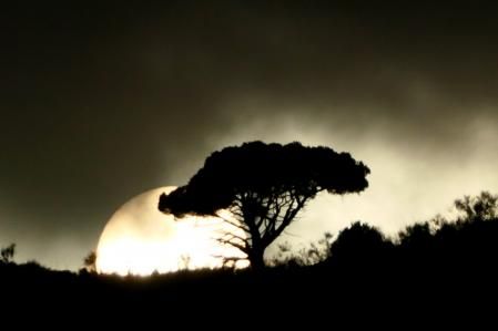 Sol blanco en la montaña de Sant Pere Màrtir visto desde Barcelona.