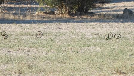 La solución al Reto visual de las seis perdices.