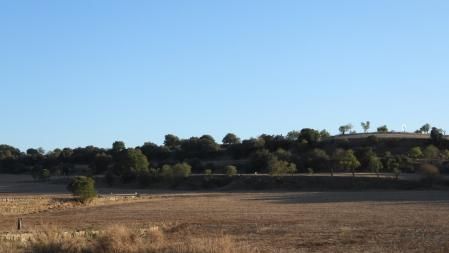 Imagen con la solución al Reto visual del águila.