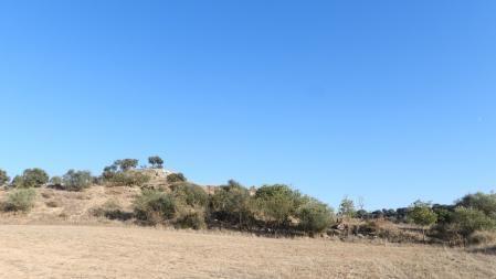 Reto visual: ¿Dónde está la luna?