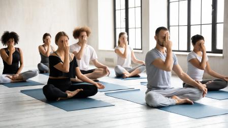 Full length group of young fit motivated focused multiracial people sitting in lotus position, practicing Alternate Nostril Breathing, finishing yoga session indoors with nadi shodhana pranayama.