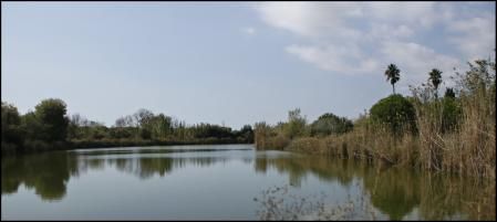 El Remolar-Filipinas.