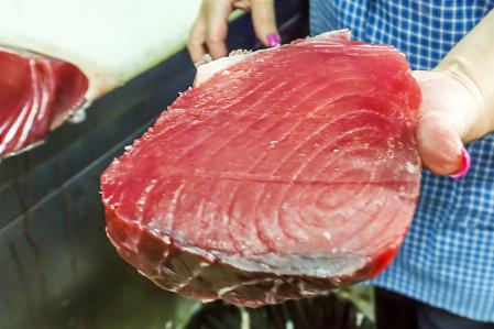 El atún rojo solo contener más mercurio porque es de mayor tamaño