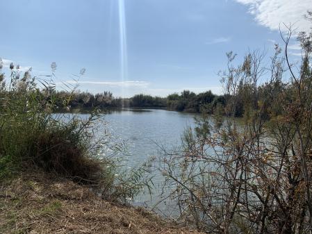 Humedal de Cal Tet, en el delta del río Llobregat