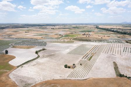 El robo del agua es uno de los delitos ambientales más extendidos e impunes en España, según WWF
