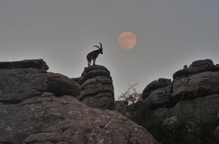 El Torcal de Antequera.