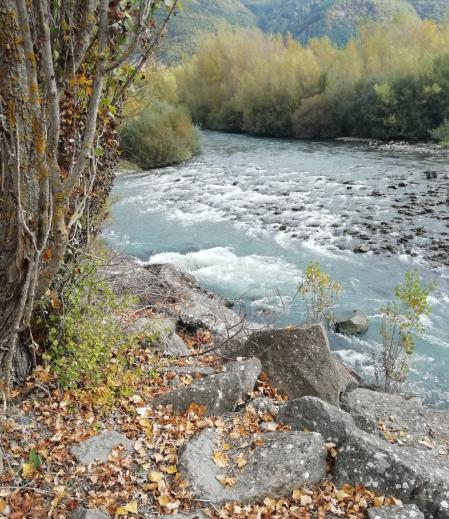 Paseo por los márgenes del río Gállego.