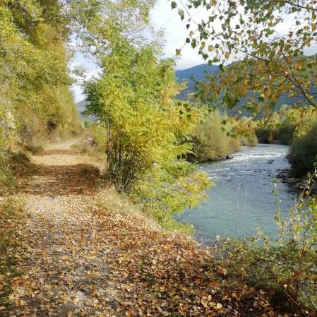 Paseo por los márgenes del río Gállego.