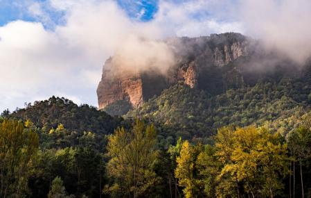 Otoño en el pantano de Sau.