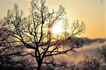 Los mares de niebla de Serragrenyada.