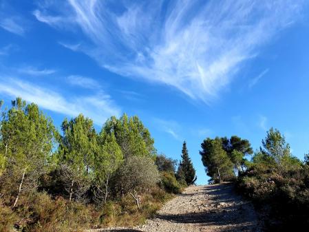 Camino a la cima del Papiol.