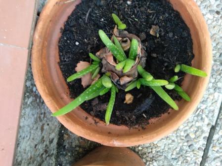 El antes y el después.