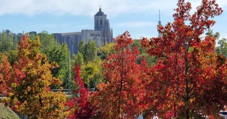 Otoño en Girona, con la Catedral y Sant Fèlix de fondo.