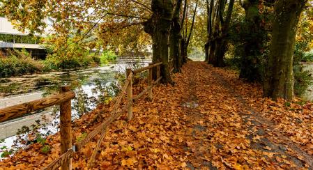 Otoño en Orís.