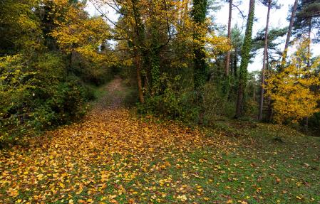Otoño en Sant Bartomeu del Grau.
