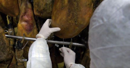 Toma de muestra de un jamón para analizar