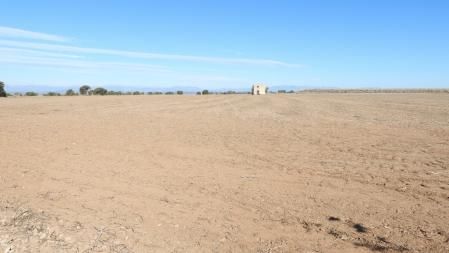 Paisaje de secano en La Figuerosa.