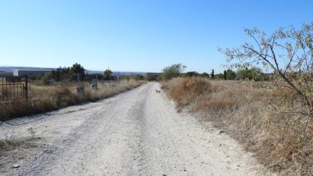 Reto visual: ¿Dónde está el gato?