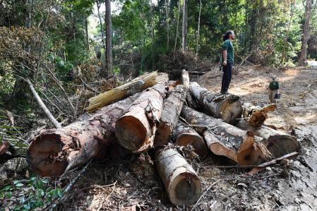 uncionarios del estado de Pará, norte de Brasil, inspeccionan un área deforestada en la selva amazónica durante la vigilancia en el municipio de Pacaja, a 620 km de la capital Belem, el 22 de septiembre de 2021. -Officials from Para State, northern Brazil, inspect a deforested area in the Amazon rain forest during surveillance in the municipality of Pacaja, 620 km from the capital Belem, on September 22, 2021. - World leaders reunited in Glasgow for the COP26 on November 2, 2021 issued a multibillion-dollar pledge to end deforestation by 2030, a promise met with scepticism by environmental groups who say more urgent action is needed to save the planet's lungs. (Photo by EVARISTO SA / AFP)