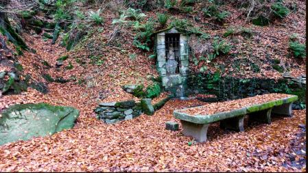 Otoño en el Cabrerès.