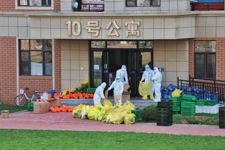 La mujer aseguró que se llevaron a su perro en una bolsa amarilla