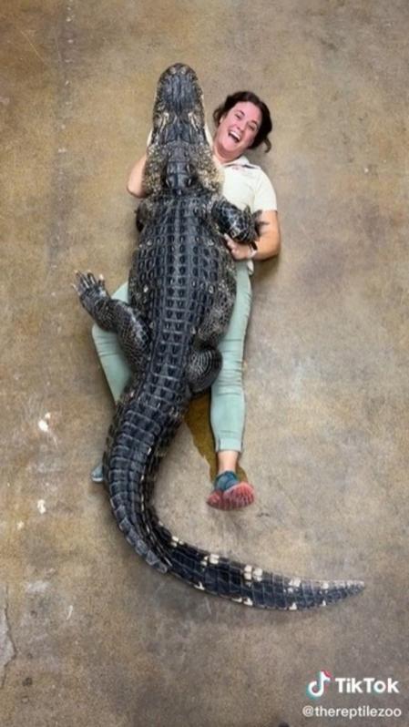 Algunos usuarios han tildado de “temeraria” esta acción