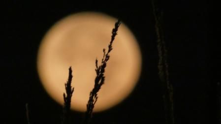 La luna llena del Castor en Gavà.
