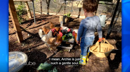 meghan Markle mostró una imagen del pequeño Archie cuidando de sus gallinas en su mansión en Montecito.