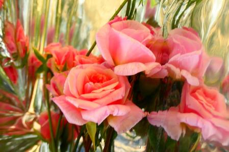 Rosa de pitiminí en el monasterio de Pedralbes.