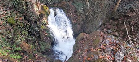 La Font Gran de Ogassa.