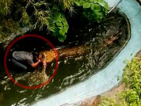 El hombre sufrió fracturas de huesos y ocho heridas en el brazo que tuvieron que ser suturadas