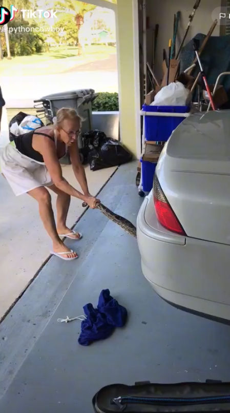 La madre ha conquistado a las redes con su naturalidad tirando de una enorme serpiente con chanclas y delantal