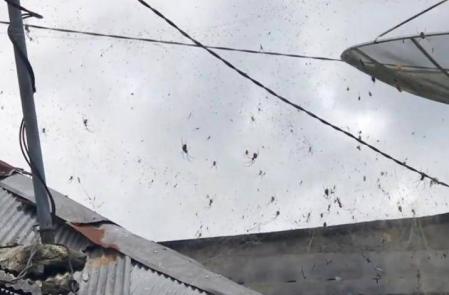 La estampa que presenta el pueblo de Kintamani es de lo más llamativa