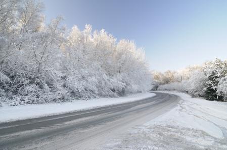 Sin tratar carretera con nieve Laden árbol
