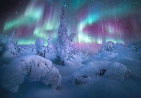 El bosque de las luces. Aurora boreal en Alaska