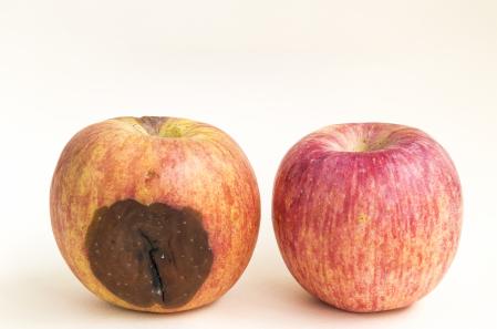 La fruta es uno de los alimentos que pueden ser irradiados