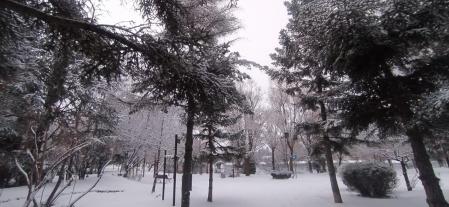 El lago helado de Puigcerdà.