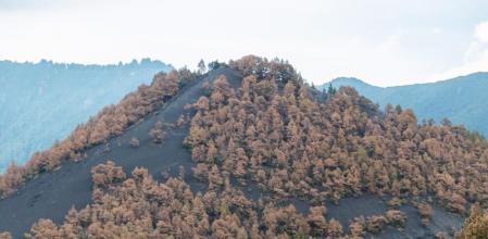 La erupción de La Palma cumple 3 meses con signos de agotamiento y la esperanza de poder darse por finalizado