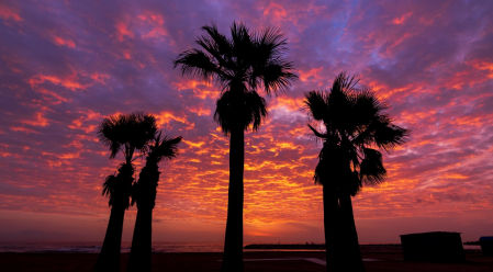 Candilazo en la playa de Fuengirola.