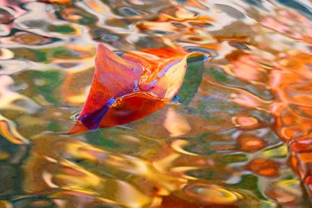 Balanceo de las hojas.