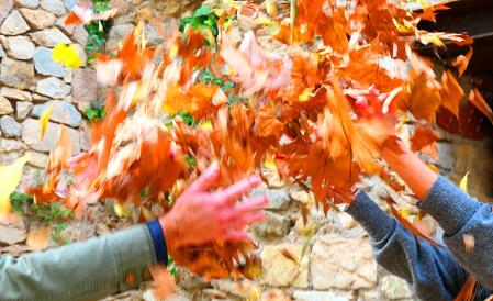 Balanceo de las hojas.