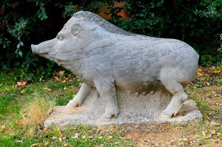 Jabalíes de los jardines Jaume Vicens i Vives