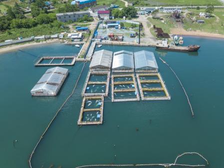 Instalaciones de la bahía de Srednyaya en 2019  .