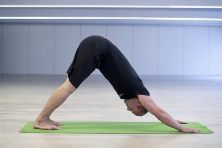 YOGA. Perro boca abajo