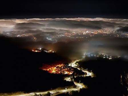 El taró en la costa malagueña.