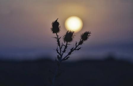 El sol lunar de Mijas.