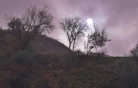 El sol lunar de Mijas.