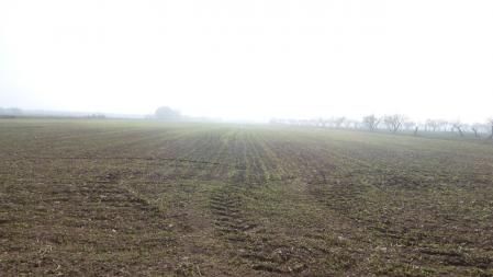 Niebla en el camino a Altet.