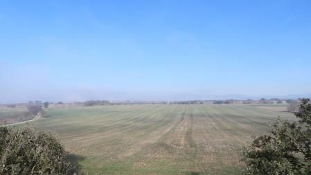 Nieblas en el camino de Claravalls a Altet.