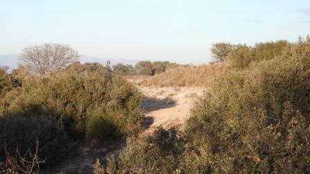 Solución al Reto visual del busardo.
